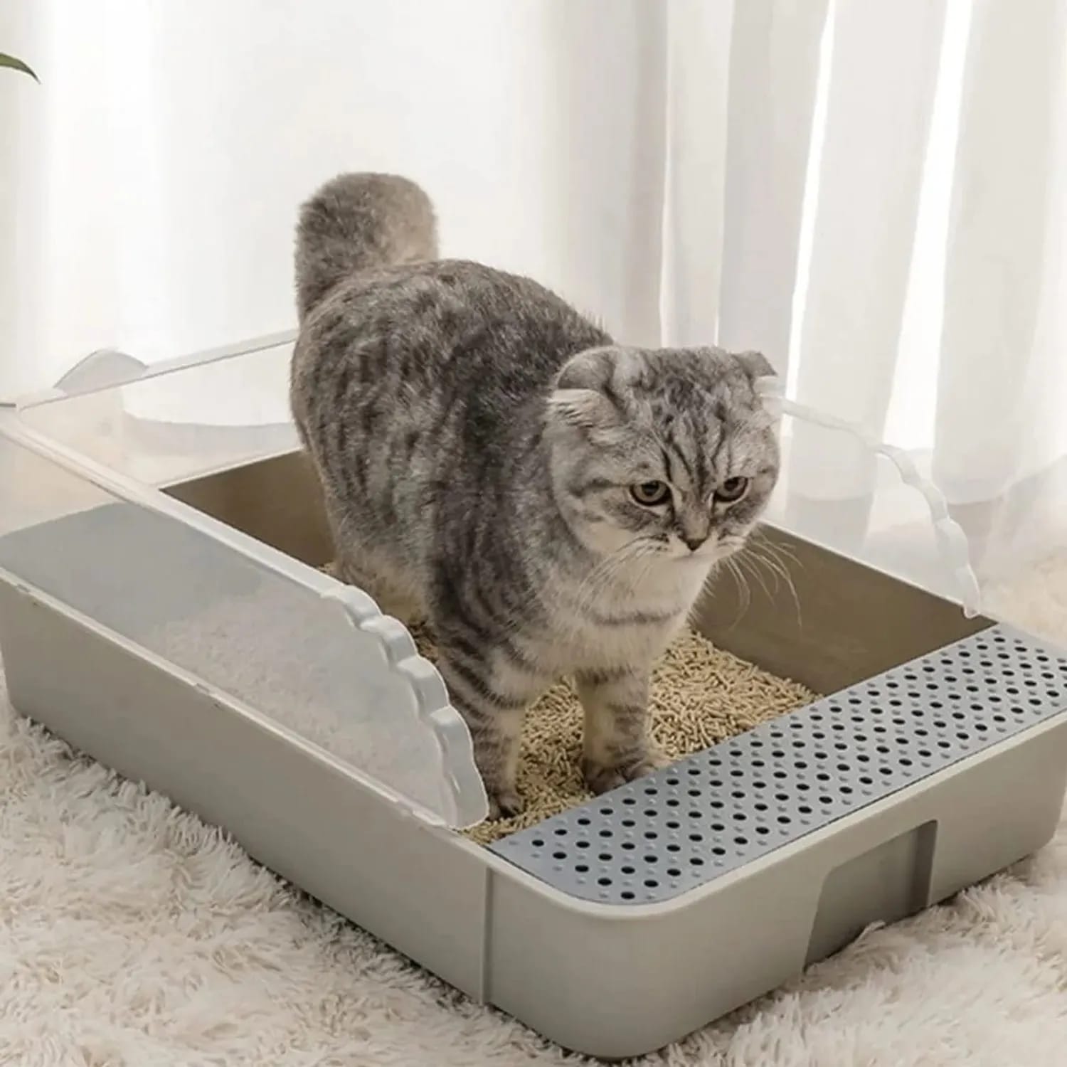 Arenera para Gatos con Borde Elevado y Rejilla